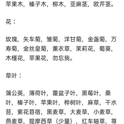 仓鼠
